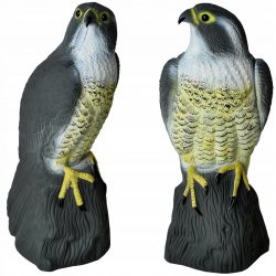 Odpudzovač - plašič vtákov | sokol bol vyrobený s dôrazom na detail. Pomôže odplašiť holuby, vrabce, škorce, ale aj hraboše a myši.
