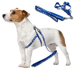 Postroj pre psa s vodítkom 125cm | modrý je dokonalým riešením na dlhé prechádzky s domácim zvieratkom. Dĺžka vodítka: 125 cm.