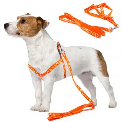 Postroj pre psa s vodítkom 125cm | oranžový je dokonalým riešením na dlhé prechádzky s domácim zvieratkom. Dĺžka vodítka: 125 cm.