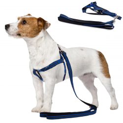 Postroj pre psa s vodítkom 125cm - reflexný | modrý má navyše reflexné pruhy, čím sa zvyšuje bezpečnosť nášho domáceho maznáčika