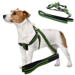 Postroj pre psa s vodítkom 125x1.5cm - reflexný | zelený má navyše reflexné pruhy, čím sa zvyšuje bezpečnosť nášho domáceho maznáčika