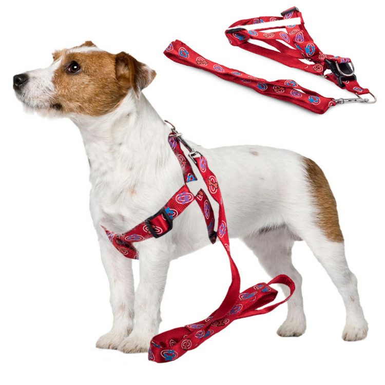 Postroj pre psa s vodítkom 135x2.5cm | červený je dokonalým riešením na dlhé prechádzky s domácim zvieratkom. Dĺžka vodítka: 135 cm.