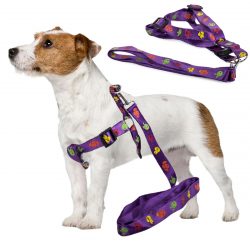 Postroj pre psa s vodítkom 135x2.5cm | fialový je dokonalým riešením na dlhé prechádzky s domácim zvieratkom. Dĺžka vodítka: 135 cm.