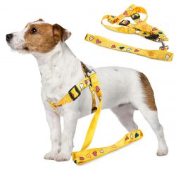 Postroj pre psa s vodítkom 135x2.5cm | žltý je dokonalým riešením na dlhé prechádzky s domácim zvieratkom. Dĺžka vodítka: 135 cm.