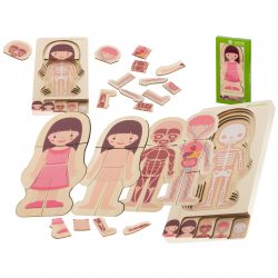 Drevené puzzle - ľudské telo | dievčatko
