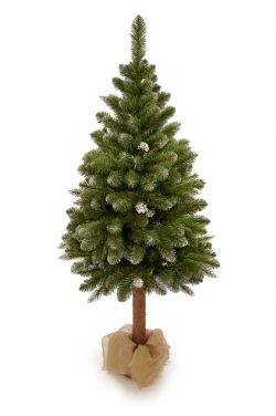 Umelý vianočný stromček na pníku PREMIUM DIAMOND | 1.55m - nádherný umelý vianočný stromček na pníku s efektom mrazu osadený v kvetináči.