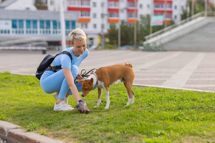 Absorpčné hygienické podložky pre psov a mačky 100ks + vrecká