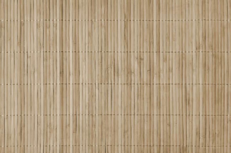Bambusový plot | 100 cm x 300 cm