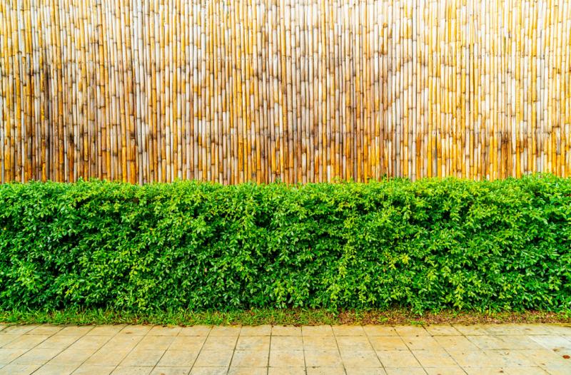 Bambusový plot | 100 cm x 300 cm