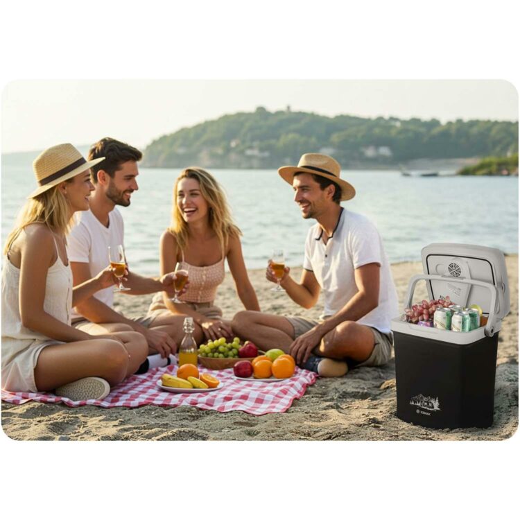 Prenosná chladnička Icemax, ECO, 26L, čierna | Berdsen