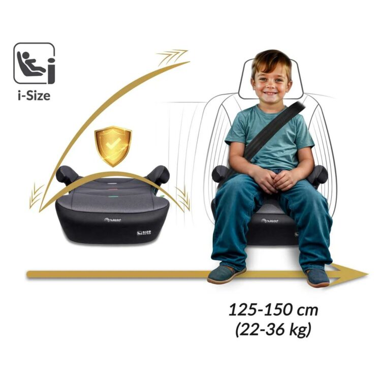 Autosedačka Louis, ISOFIX, 22-36kg, šedá | Nukido
