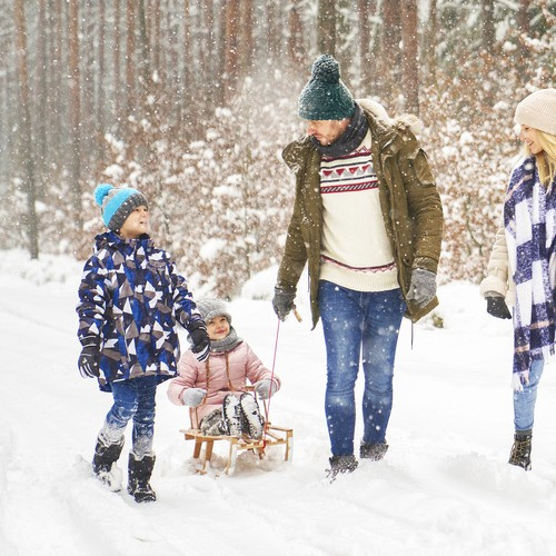 Drevené sane s operadlom, 100kg | Kruzzel Drevené sane s operadlom, 100kg | Kruzzel